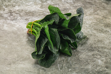 Ripe green spinach leaves heap