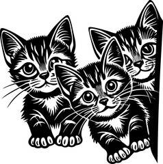 black and white cats