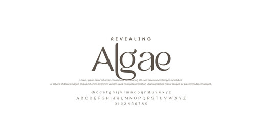 Elegant alphabet letters font logo classic minimal fashion designs. Typography modern sans fonts and number for logo brand. vector illustration