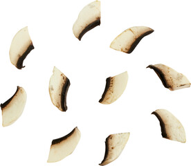 A collection of curved, brown-tipped coconut shell pieces arranged in a circular pattern.