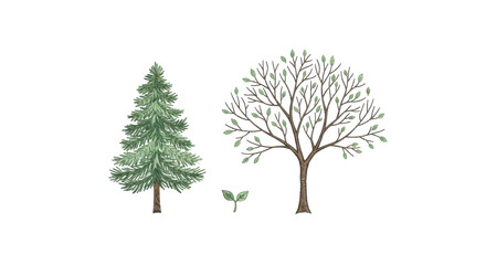 Hand-drawn trees illustration with leaves