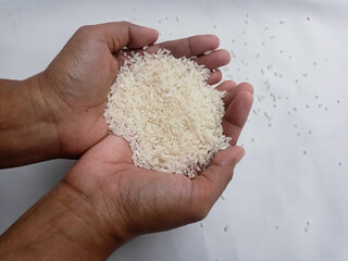 The hand that was picking up the rice,hand holding rice grain isolated on white background.