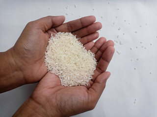 The hand that was picking up the rice,hand holding rice grain isolated on white background.
