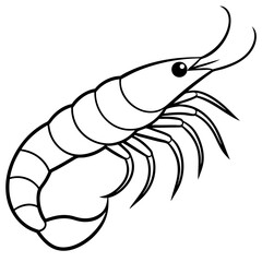 Clean Shrimp Linework