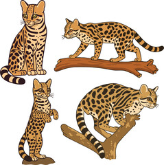 Margay mascot vector.eps