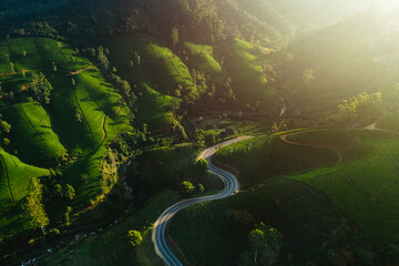 Aerial Drone View of Scenery Road Through Mountains Hills and Green Tea