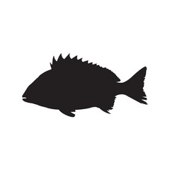 Sea Bream Silhouette