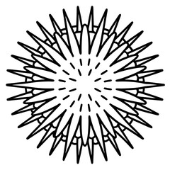 Obraz premium Elegant Sea Slug Outline