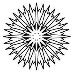 Obraz premium Elegant Sea Slug Outline