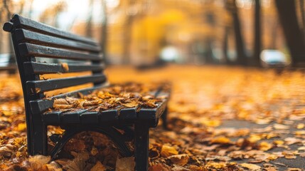 Park bench covered in autumn leaves.
