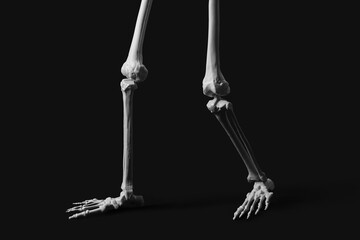 Legs of scary human skeleton on black background