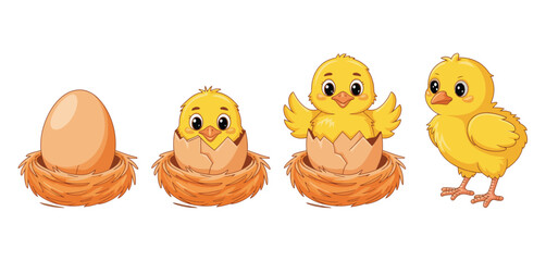 Cute Chick Hatching from Egg in Nest