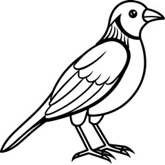Obraz premium Elegant Weaver Bird Outline Vector