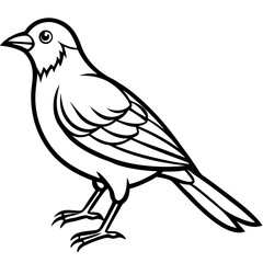 Elegant Weaver Bird Outline Vector