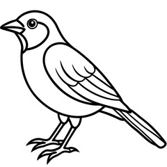 Elegant Weaver Bird Outline Vector