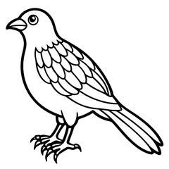 Elegant Weaver Bird Outline Vector