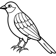 Fototapeta premium Elegant Weaver Bird Outline Vector