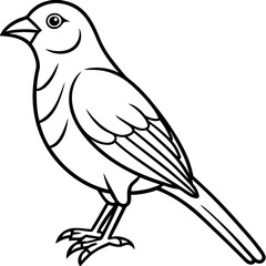 Fototapeta premium Elegant Weaver Bird Outline Vector