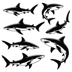 Great White Sharks: A Collection of Monochrome Illustrations