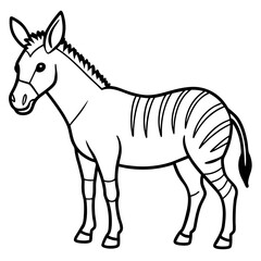 Hybrid Animal Zonkey Line Sketch