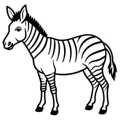 Hybrid Animal Zonkey Line Sketch