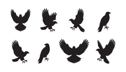 A set of flying eagle silhouettes in different poses On white background