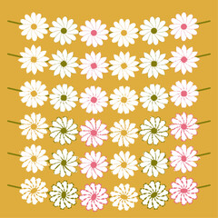 Cute Daisy Flower with Different Types of Petals Collection. Vector Illustrator with Yellow Background. Simple Design. Vector Graphics.