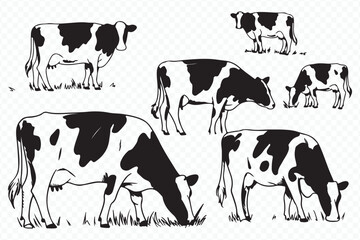 hand-drawn rural landscape featuring black and white cows grazing in a grassy field vector