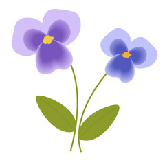 Pansy flower illustration flat design