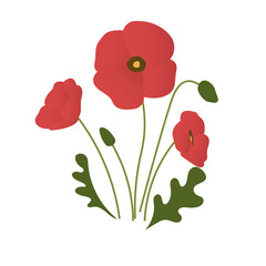 Poppy flower illustration flat design