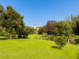 Tranquil Garden Oasis Surrounded by Lush Greenery and Vibrant Flora
