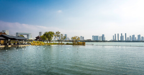 Obraz premium Tranquil Lake Scene with a Beautiful Urban Skyline in the Background