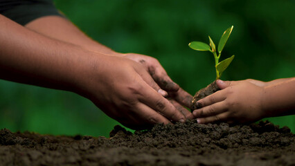Planting trees, loving the environment and protecting nature Nourishing the plants World Environment Day To help the world look beautiful