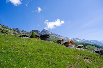 Beautiful view with scenic landscape in the Swiss Alps at Lötschental Valley at Lauchernalp on a sunny late spring day. Photo taken June 19th, 2025, Wiler, Switzerland.