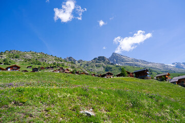 Beautiful view with scenic landscape in the Swiss Alps at Lötschental Valley at Lauchernalp on a sunny late spring day. Photo taken June 19th, 2025, Wiler, Switzerland.
