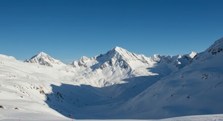 Obraz premium Clean White Nature Scene