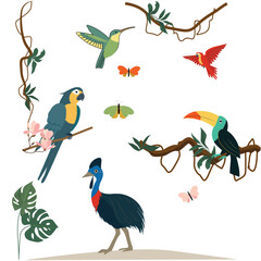 Hand-drawn Jungle birds in flat vector style on white. Perfect for designers and educators.