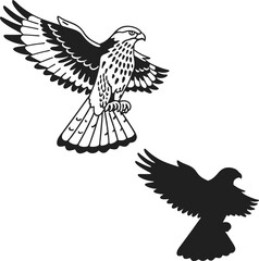 Majestic Hawk Looking Ahead Vector Illustration  
