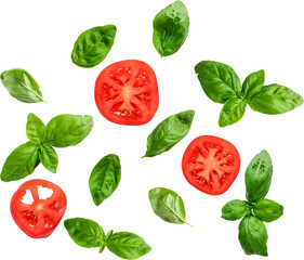 Fresh tomatoes and basil leaves arranged aesthetically, ideal for culinary use.