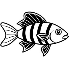 Minimalist Zebrafish Line Drawing Vector