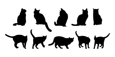 Collection cute wild animal isolated vector silhouettes