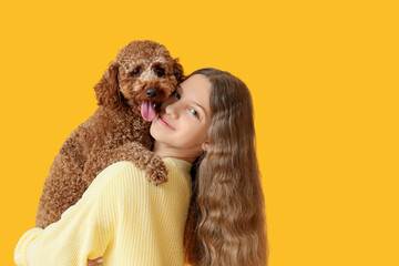 Teenage girl hugging Poodle dog on yellow background