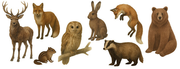 Fototapeta premium Watercolor clipart forest animals PNG. Watercolour deer, fox, bear, hare, badger, chipmunk for design.