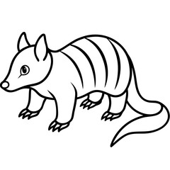 Monochrome Zorilla Animal Line Drawing