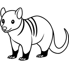 Monochrome Zorilla Animal Line Drawing
