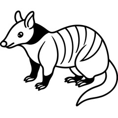 Monochrome Zorilla Animal Line Drawing