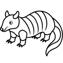 Monochrome Zorilla Animal Line Drawing