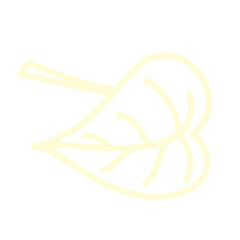 vector illustration of a leaf