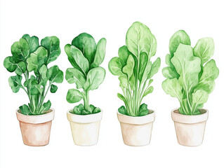 Various types of lush green plants in pots creating a vibrant indoor garden atmosphere