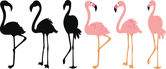 Vector black silhouettes and pink illustrations of flamingos, depicting tropical, exotic, bird, wildlife, summer, nature, elegant, animal, vacation, and unique avian beauty designs.